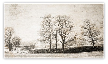 Balcombe-winter-FB