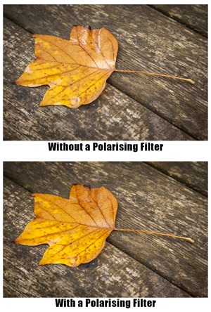 polarising filter - 2