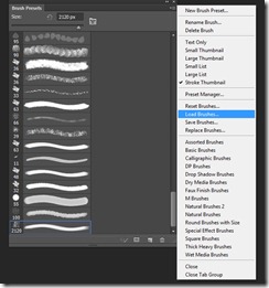 Load Brushes