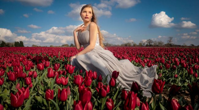 Our Time Lapse Photo Sequence Tulips Go >> Gavtrain Com The Place To Learn Photography And Photoshop Page 21 Our Time Lapse Photo Sequence Tulips Go >> Gavtrain Com The Place To Learn Photography And Photoshop Page 21